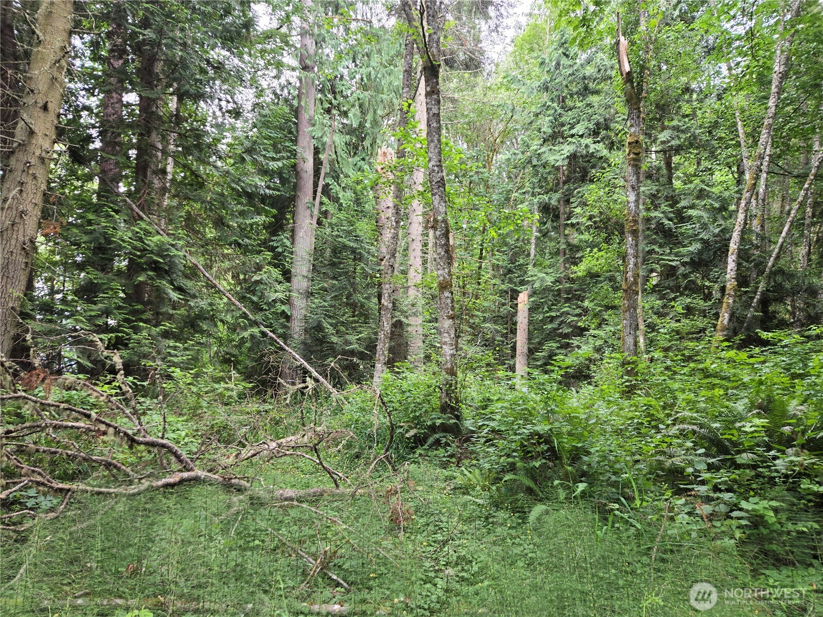 10307 NE Paradise Cove Lane (5 Lots) Kingston WA 98346
