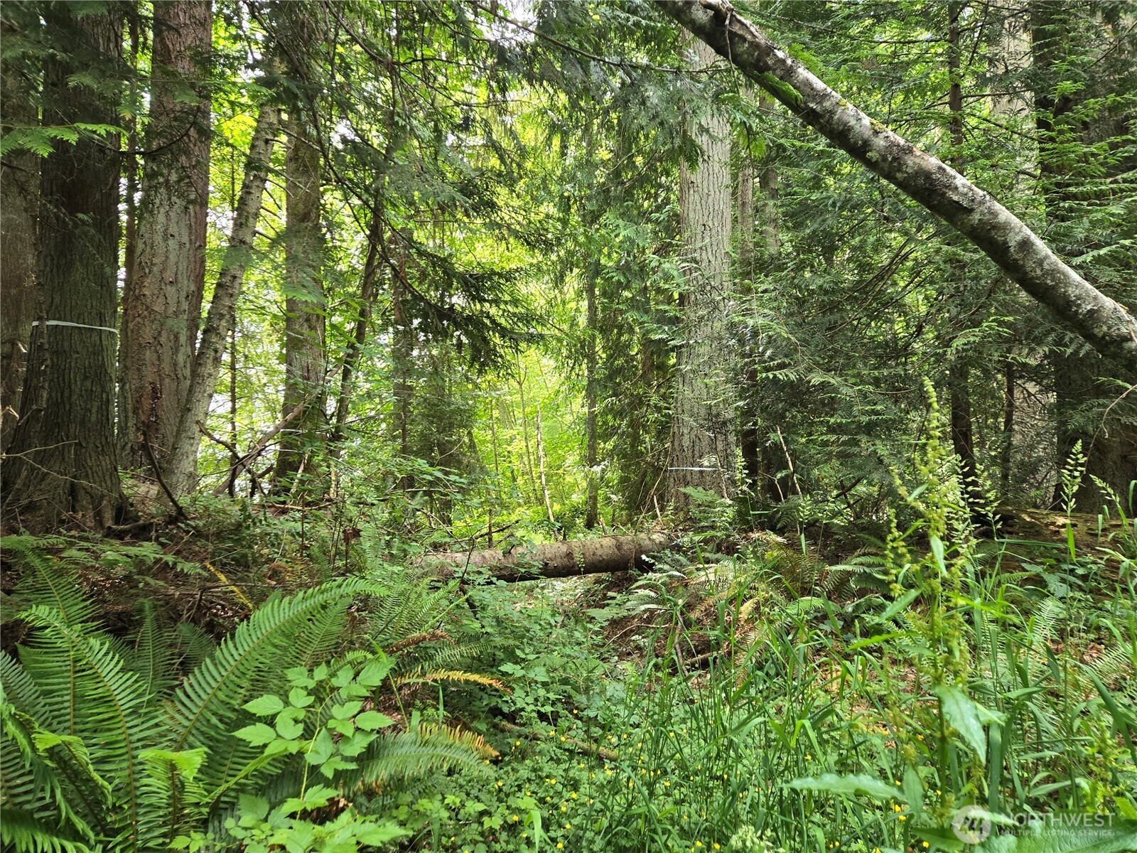 10307 NE Paradise Cove Lane (5 Lots) Kingston WA 98346