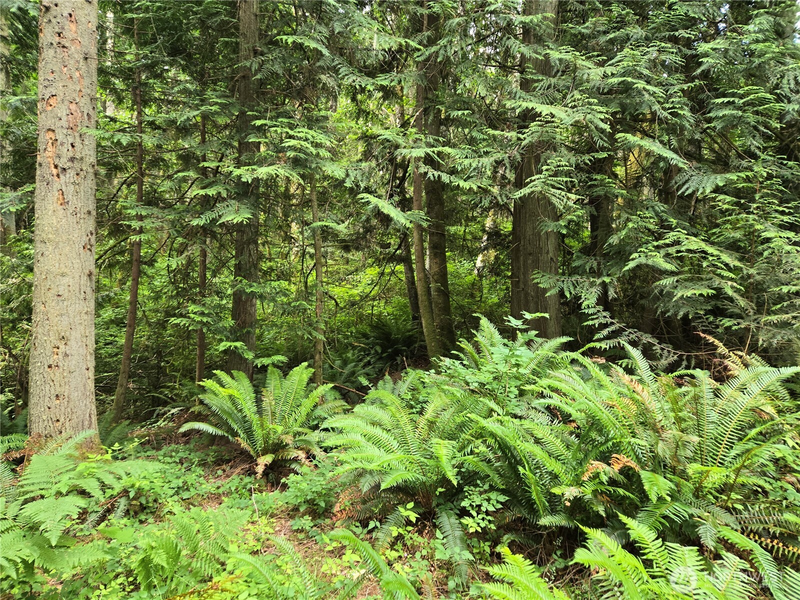10307 NE Paradise Cove Lane (5 Lots) Kingston WA 98346