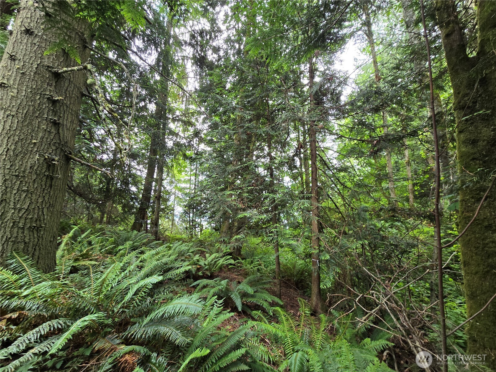 10307 NE Paradise Cove Lane (5 Lots) Kingston WA 98346