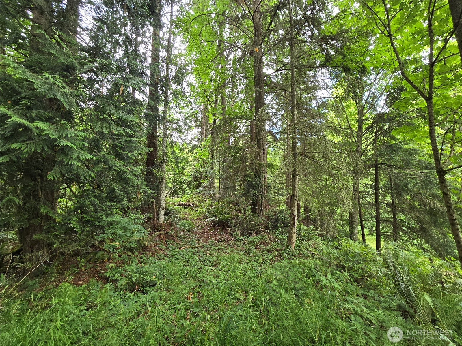 10307 NE Paradise Cove Lane (5 Lots) Kingston WA 98346