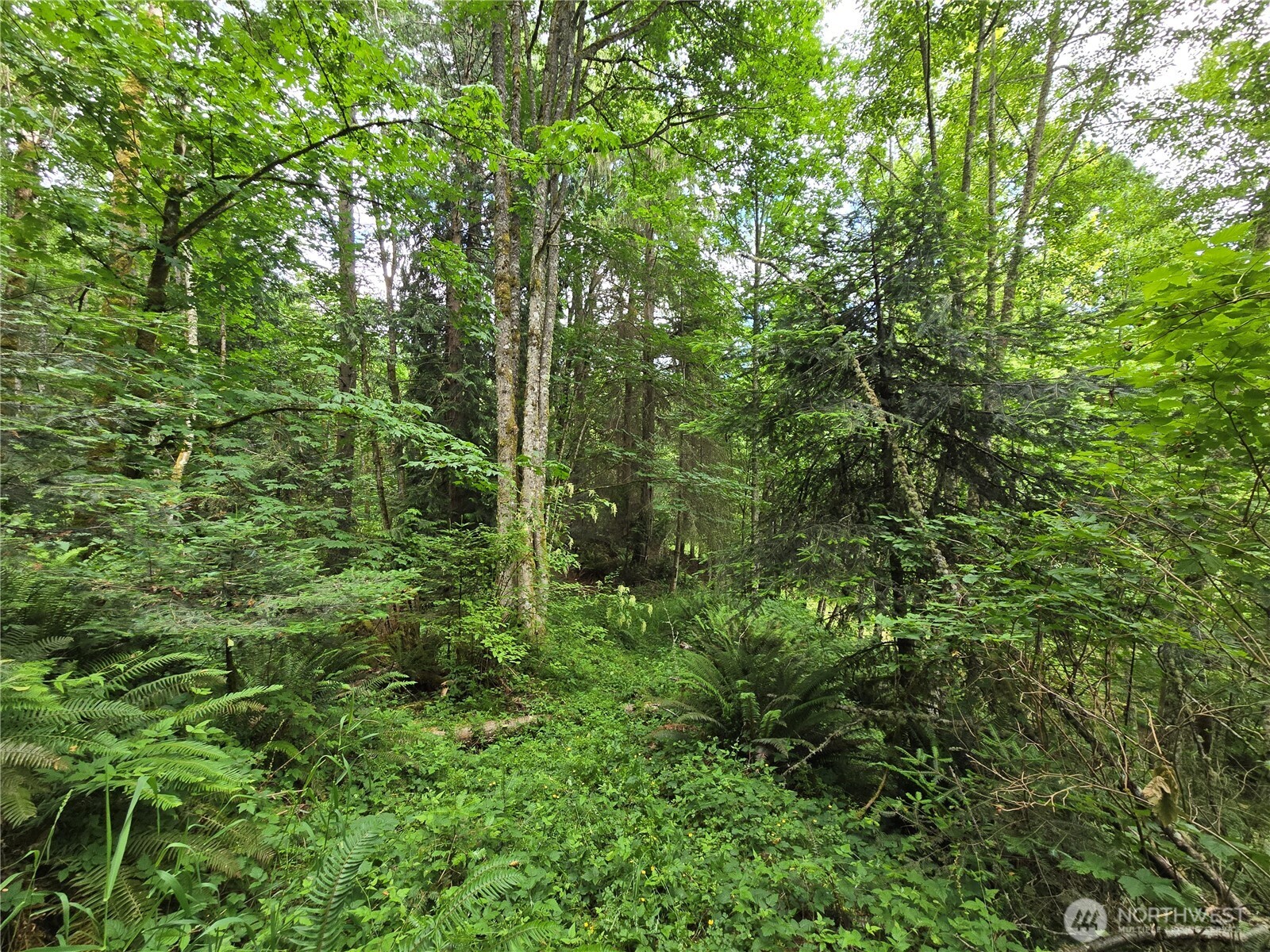 10307 NE Paradise Cove Lane (5 Lots) Kingston WA 98346