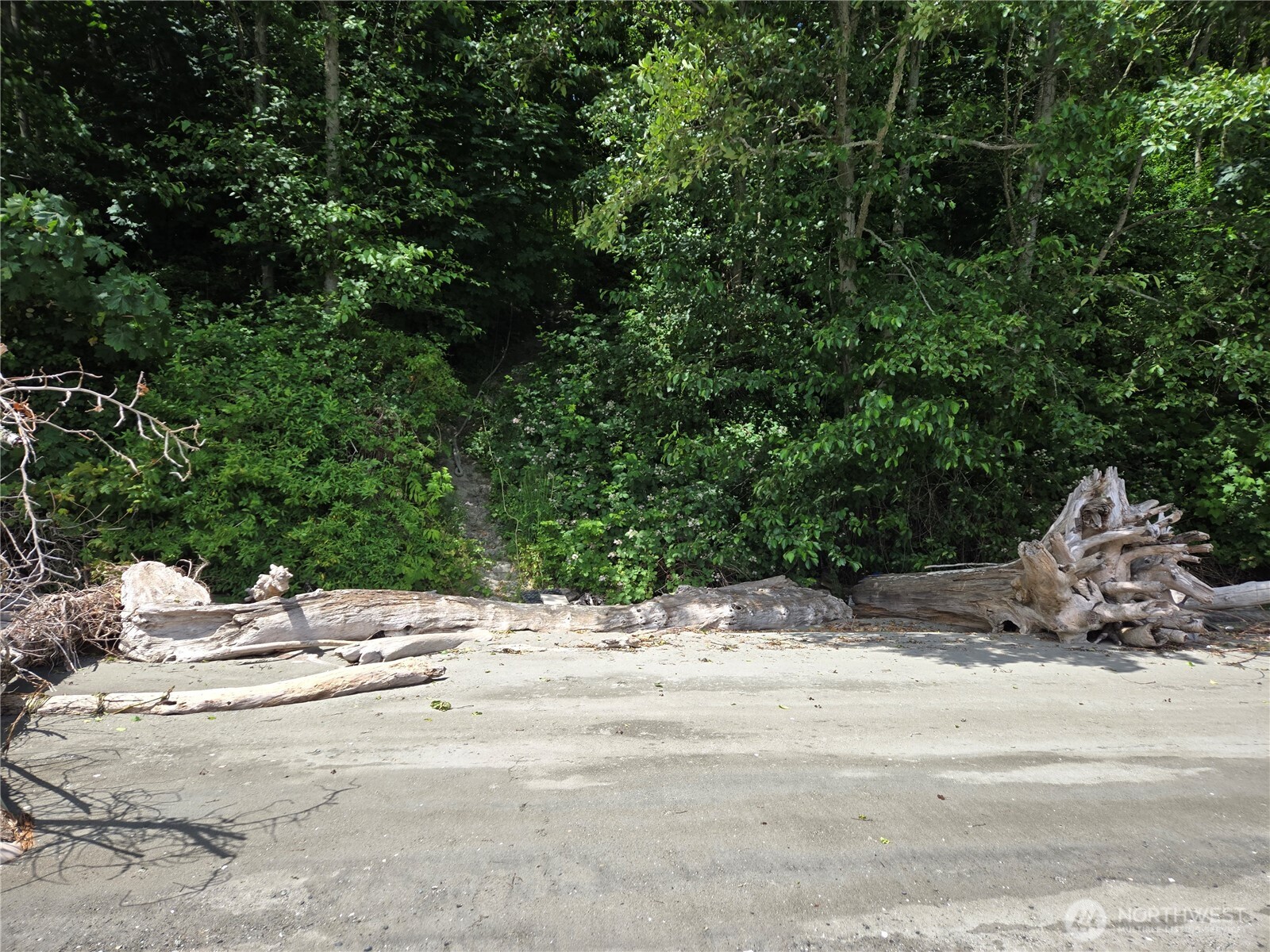 10307 NE Paradise Cove Lane (5 Lots) Kingston WA 98346