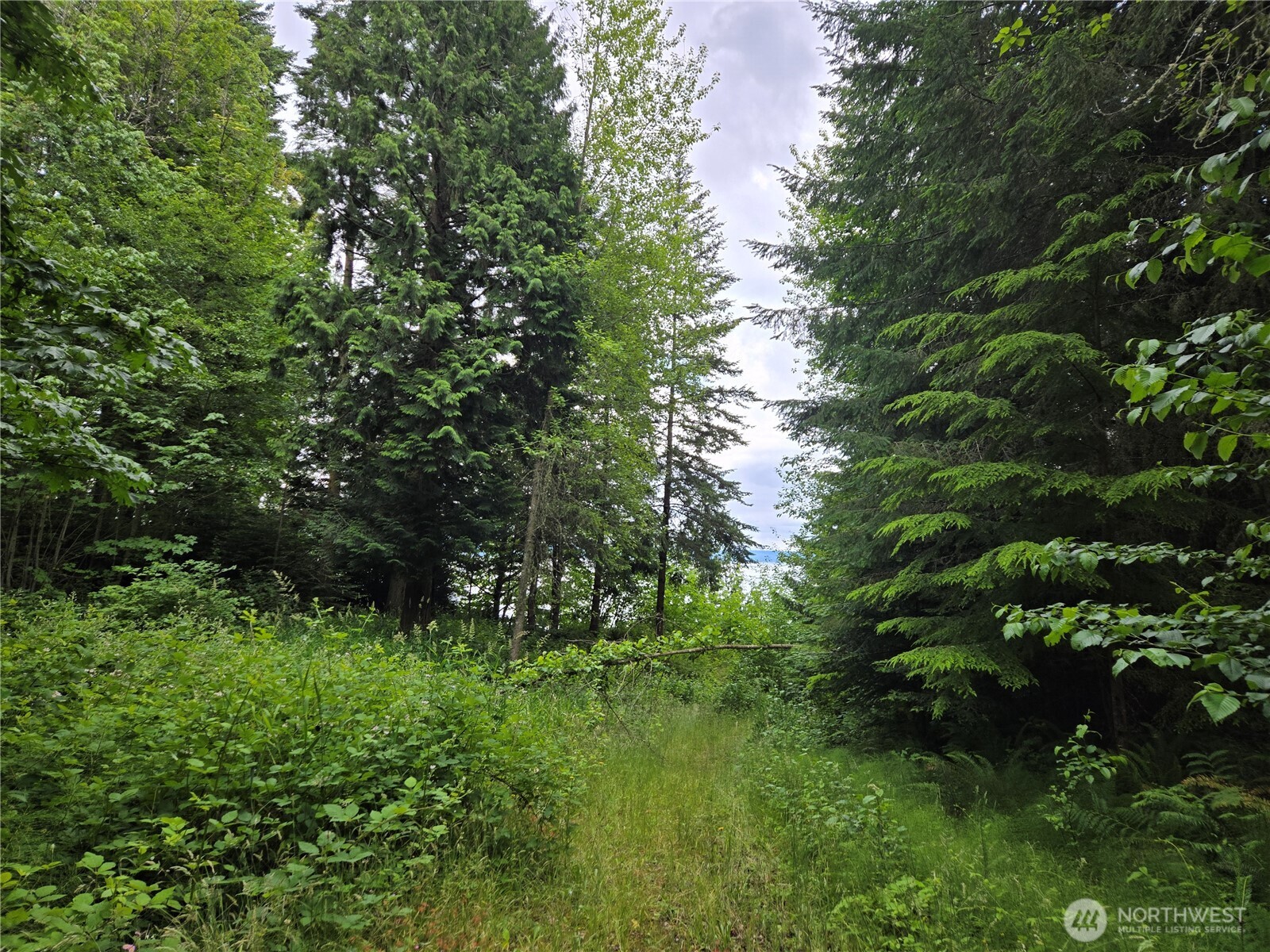 10307 NE Paradise Cove Lane (5 Lots) Kingston WA 98346