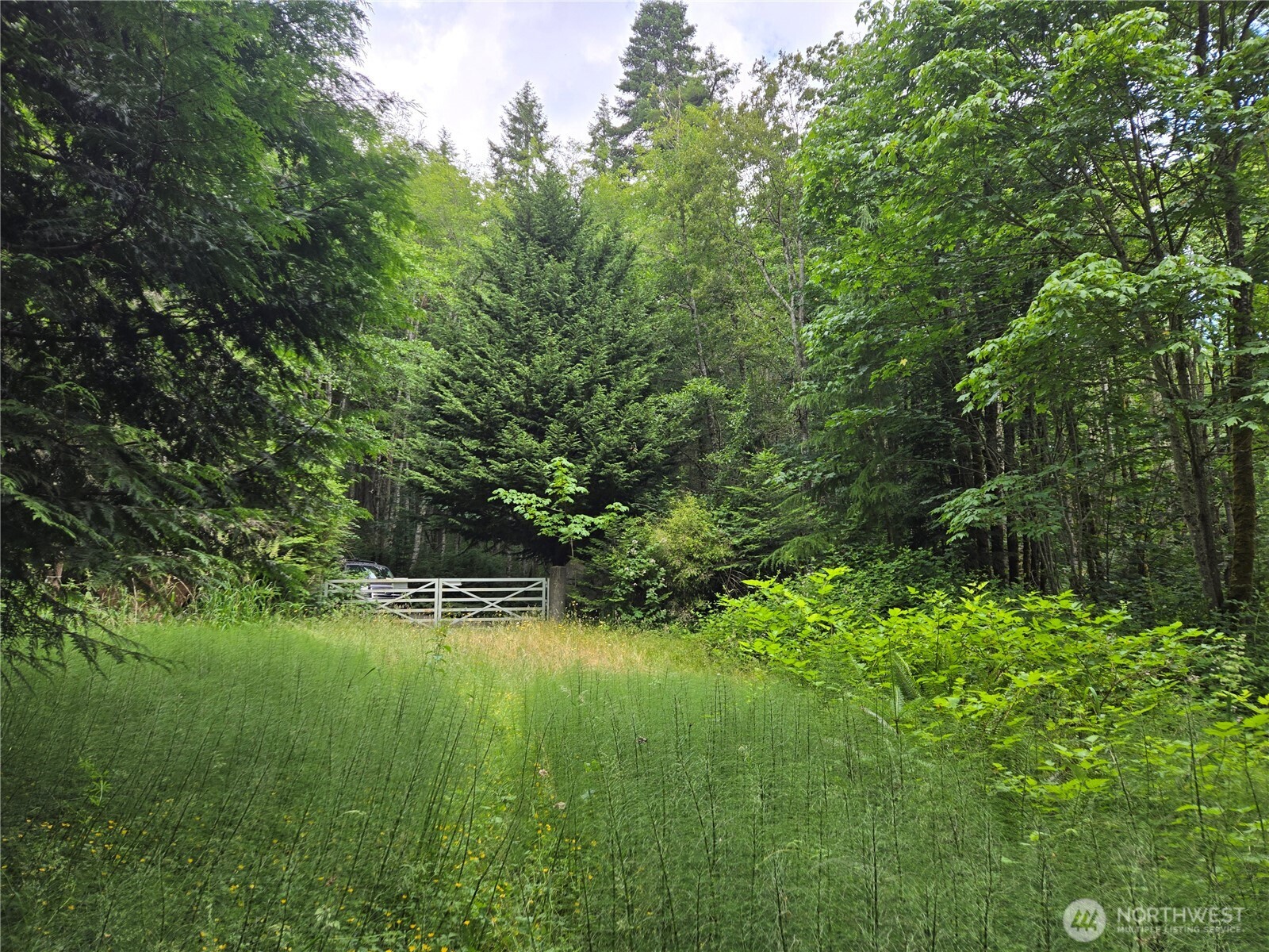 10307 NE Paradise Cove Lane (5 Lots) Kingston WA 98346