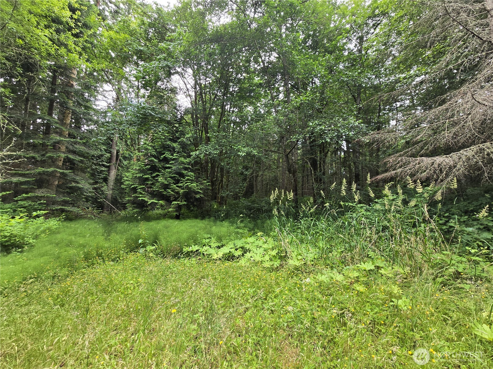 10307 NE Paradise Cove Lane (5 Lots) Kingston WA 98346