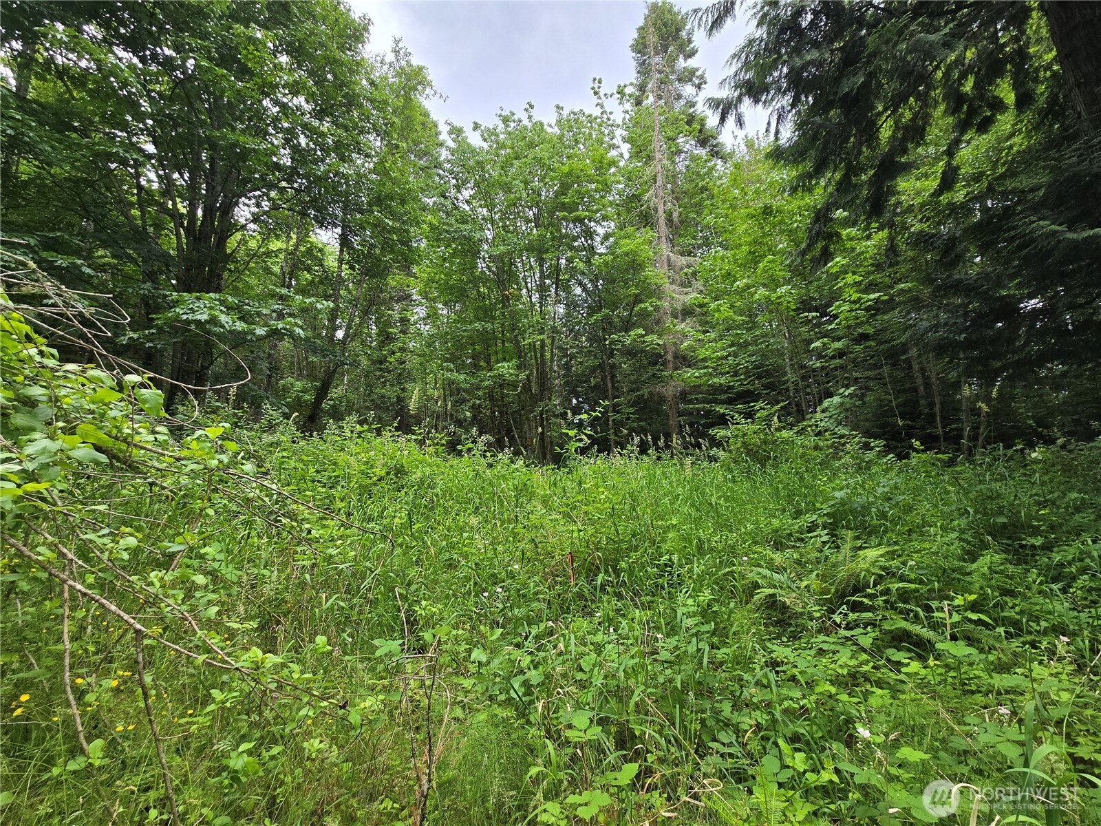 10307 NE Paradise Cove Lane (5 Lots) Kingston WA 98346