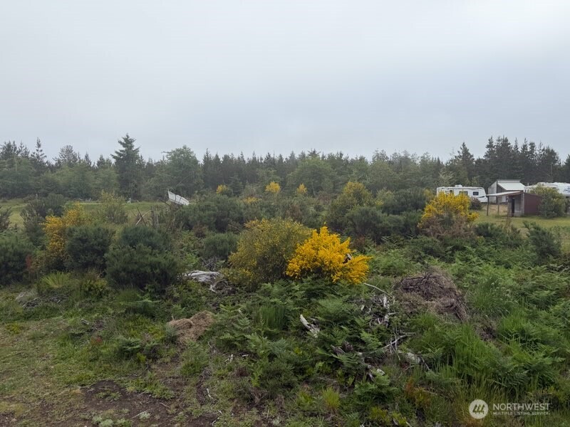 29880 T Lane Ocean Park WA 98640