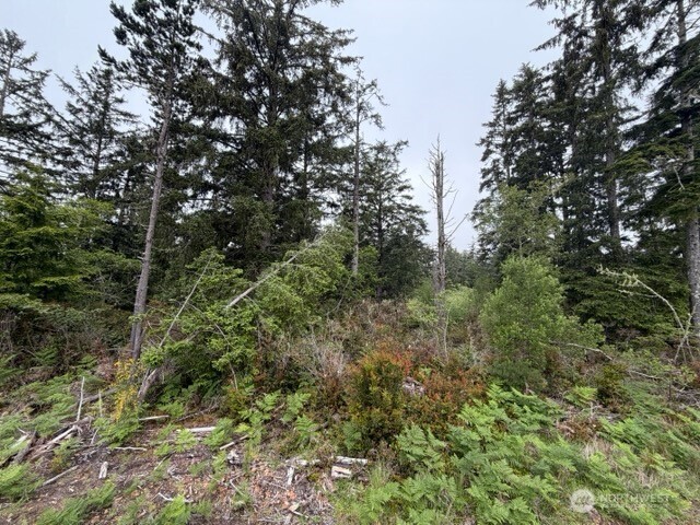 29880 T Lane Ocean Park WA 98640
