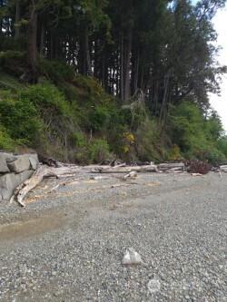 11600 32nd Street NW Gig Harbor WA 98335