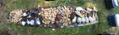11600 32nd Street NW Gig Harbor WA 98335