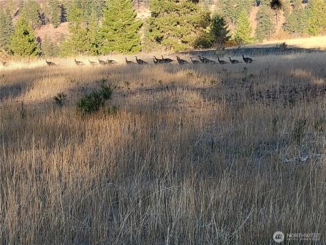 53 Highway 10 Cle Elum WA 98922