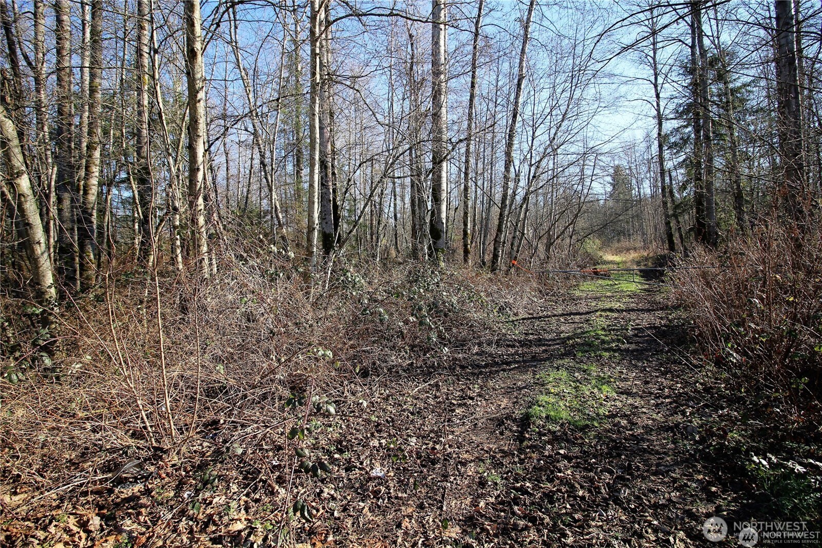 13419 SE Petrovitsky Road Renton WA 98058