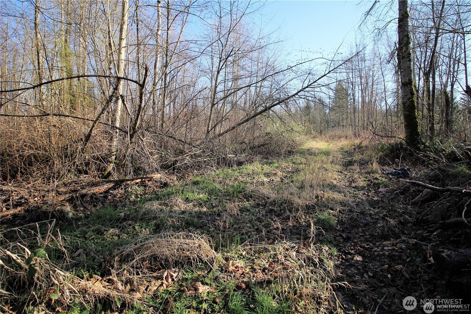 13419 SE Petrovitsky Road Renton WA 98058