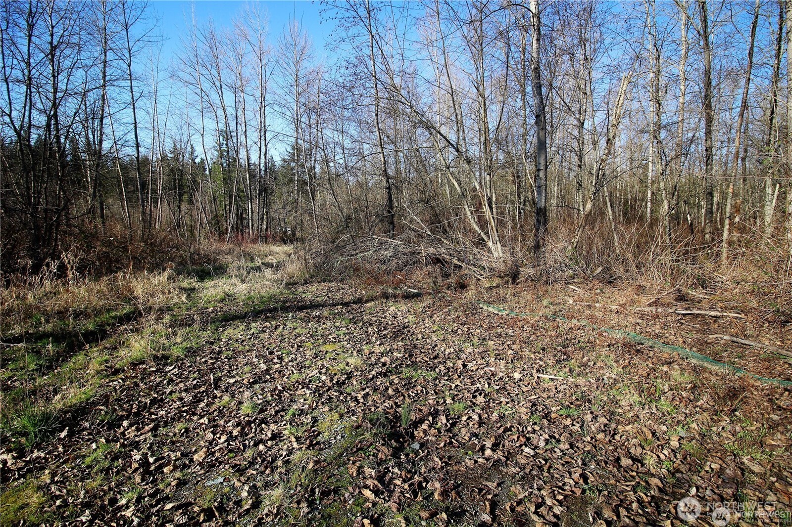 13419 SE Petrovitsky Road Renton WA 98058
