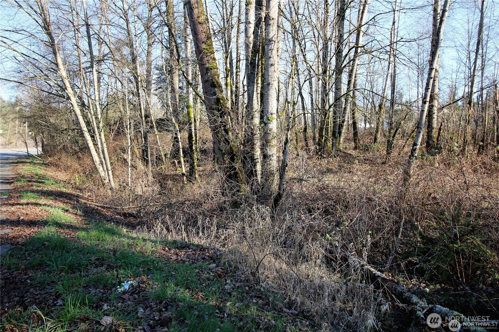13419 SE Petrovitsky Road Renton WA 98058