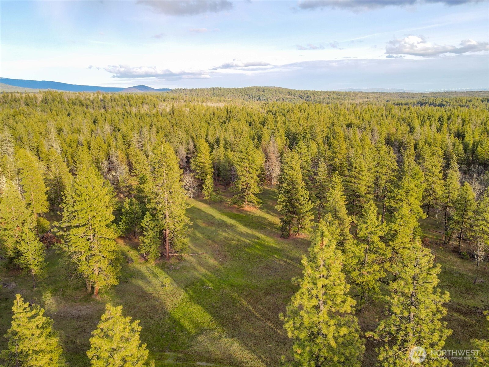 0 Greyback Mountain Road Goldendale WA 98620