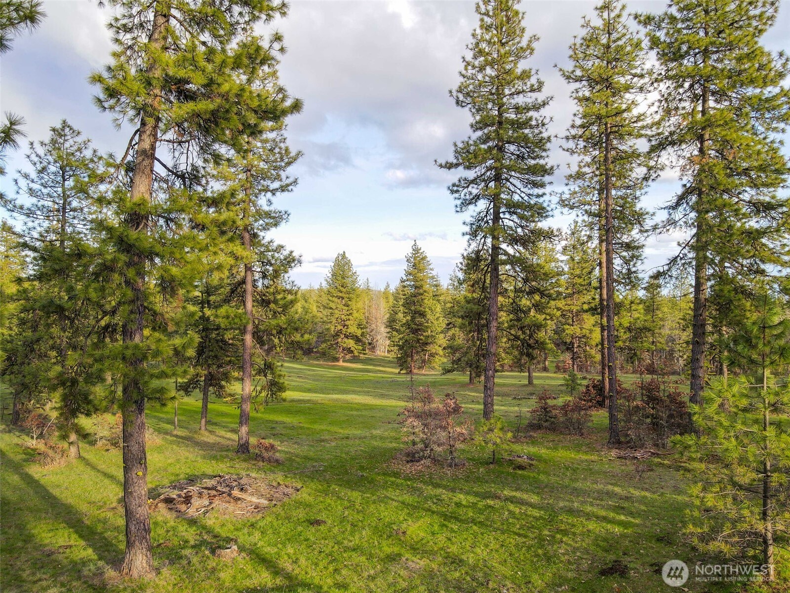 0 Greyback Mountain Road Goldendale WA 98620