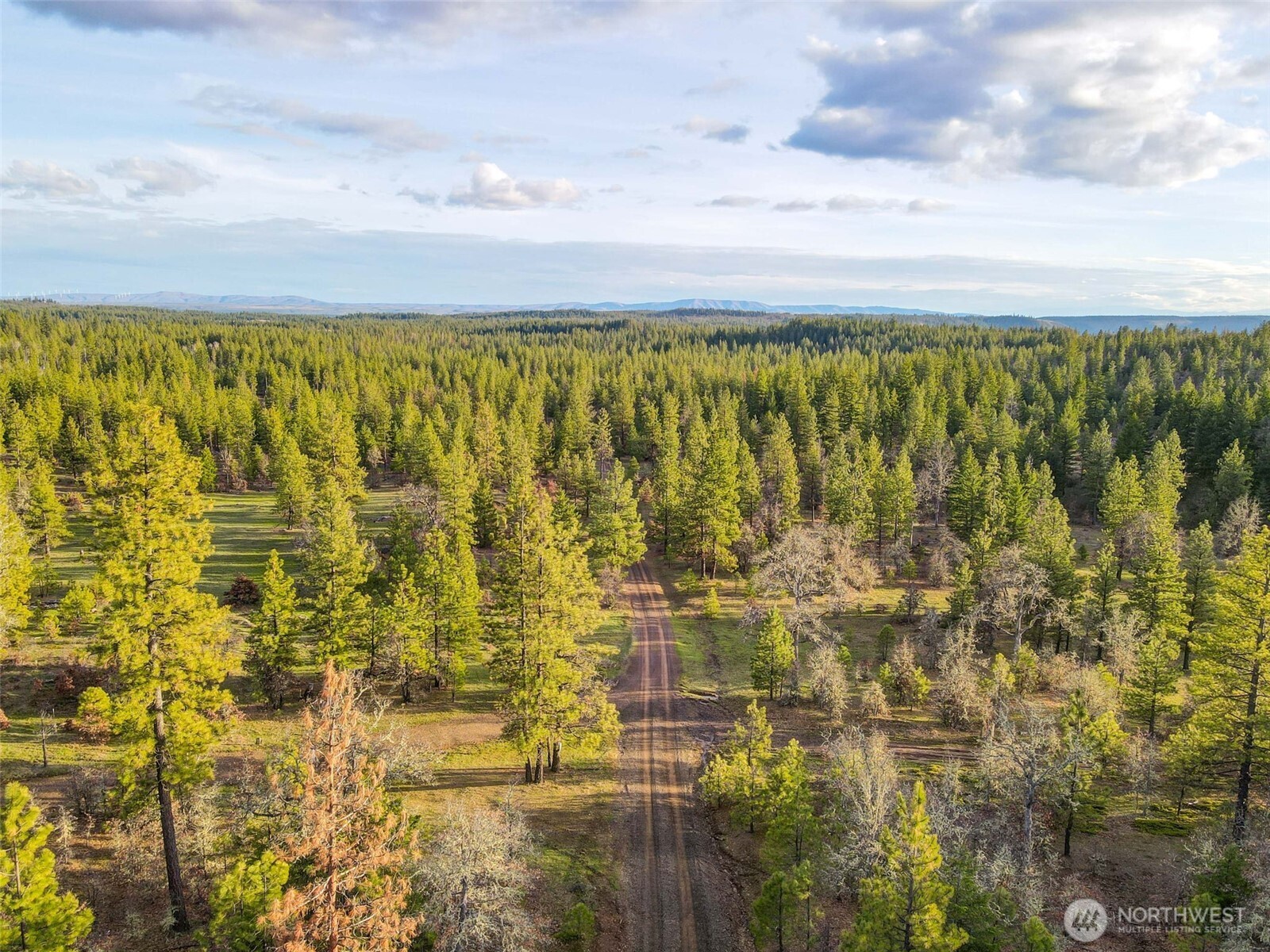0 Greyback Mountain Road Goldendale WA 98620