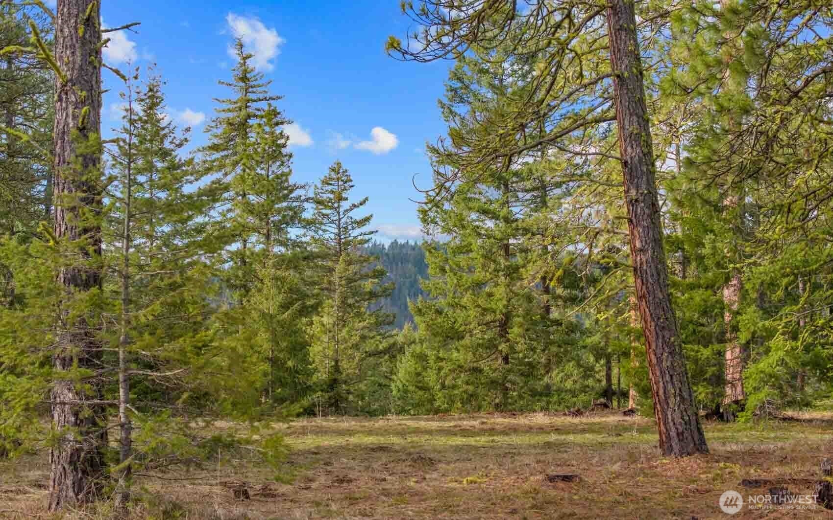 20 Wanawish Loop Cle Elum WA 98922