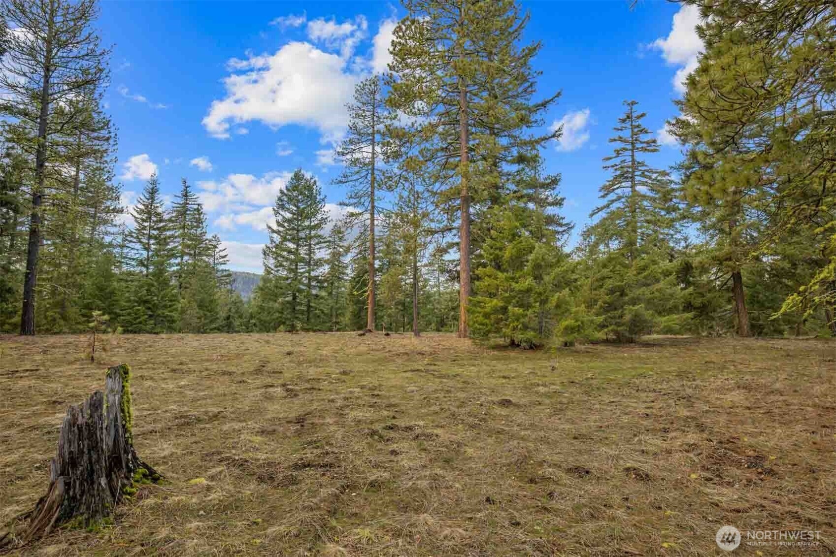 20 Wanawish Loop Cle Elum WA 98922