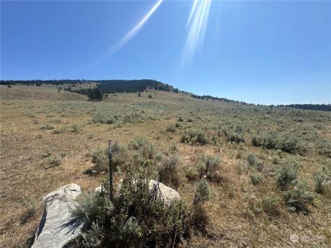 25 Harvest Moon Lane Tonasket WA 98855