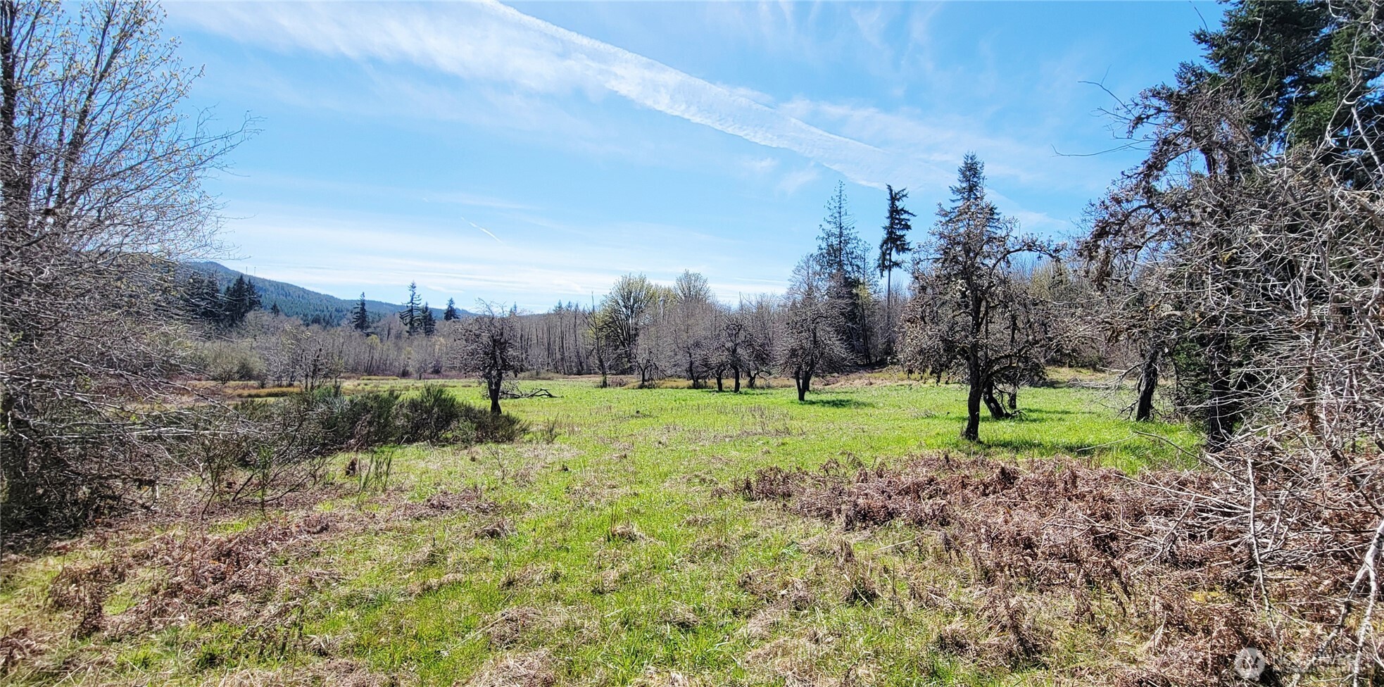 0 W Cloquallum Road Shelton WA 98584