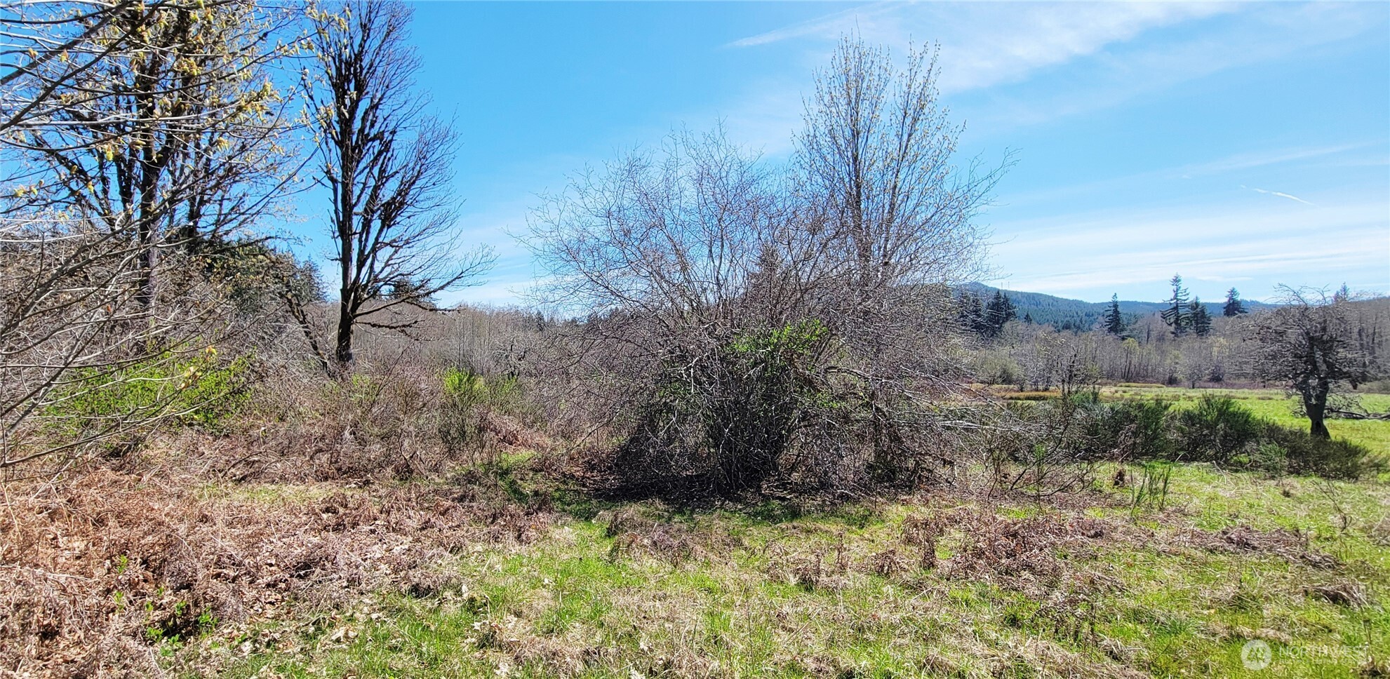 0 W Cloquallum Road Shelton WA 98584