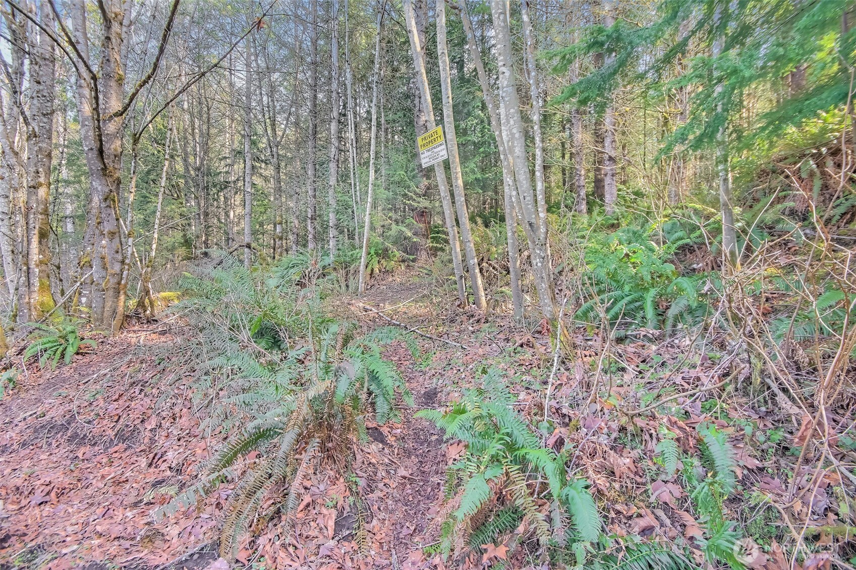 0 SE 477th Street Enumclaw WA 98022