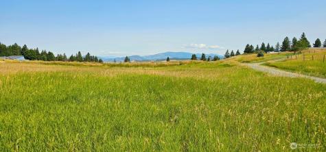 1041 Ward Way Colville WA 99114