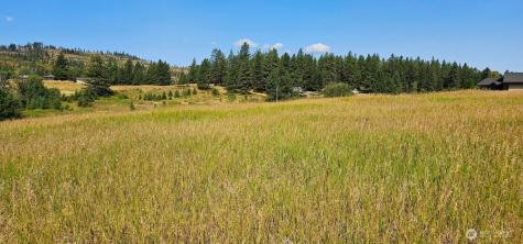 1041 Ward Way Colville WA 99114