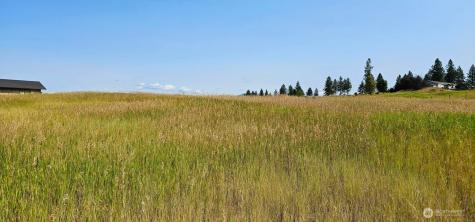 1041 Ward Way Colville WA 99114