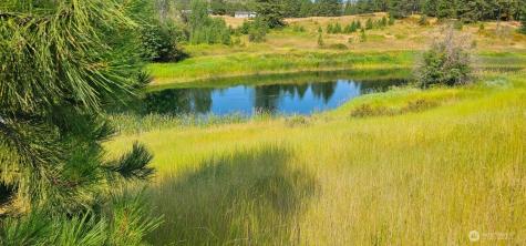 1041 Ward Way Colville WA 99114