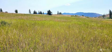 1041 Ward Way Colville WA 99114