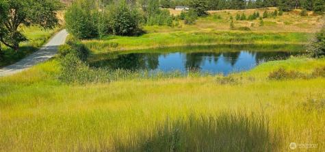 1041 Ward Way Colville WA 99114