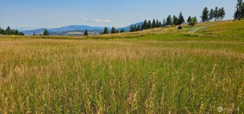 1041 Ward Way Colville WA 99114