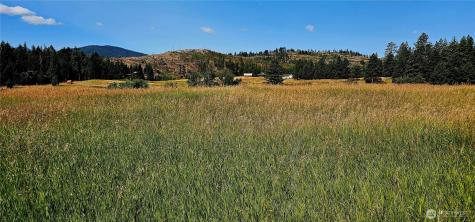 1041 Ward Way Colville WA 99114