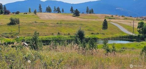 1041 Ward Way Colville WA 99114