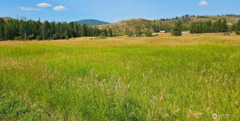 1041 Ward Way Colville WA 99114