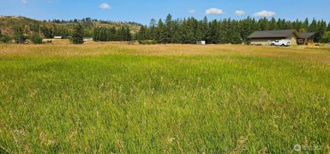 1041 Ward Way Colville WA 99114