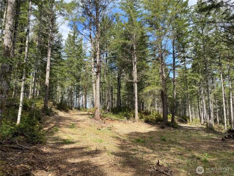 0 E Mason Lake Road Grapeview WA 98546