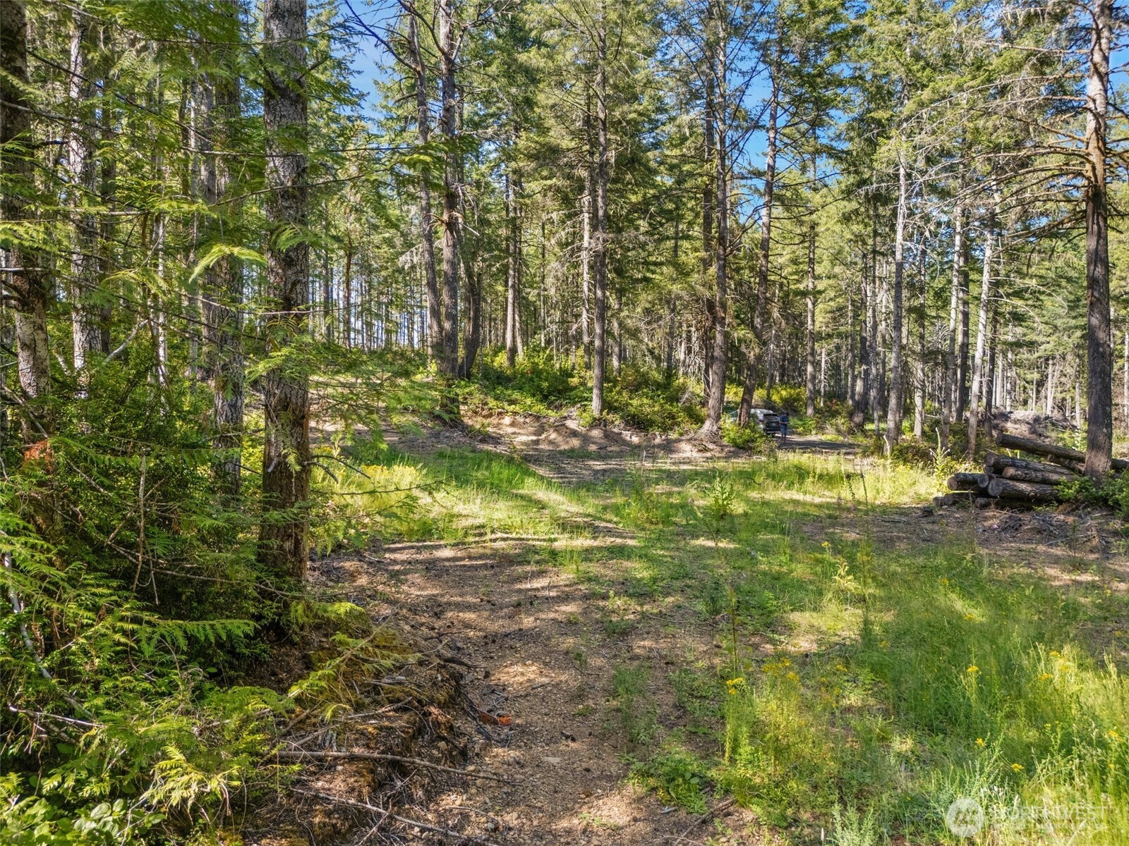 0 E Mason Lake Road Grapeview WA 98546