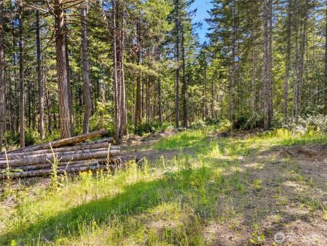 0 E Mason Lake Road Grapeview WA 98546