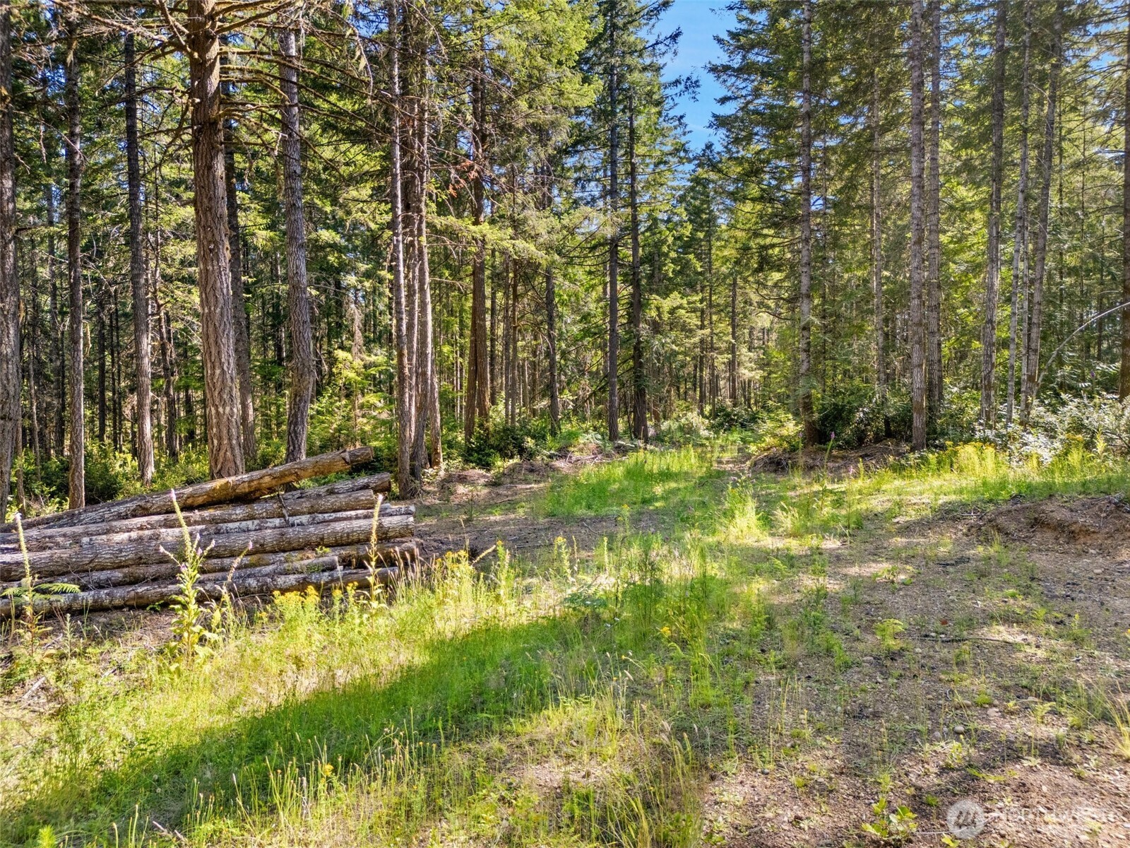 0 E Mason Lake Road Grapeview WA 98546
