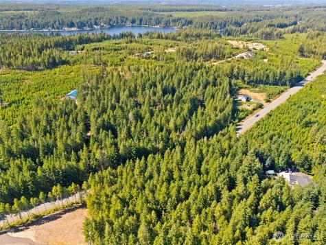 0 E Mason Lake Road Grapeview WA 98546