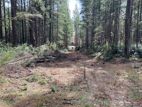0 E Mason Lake Road Grapeview WA 98546