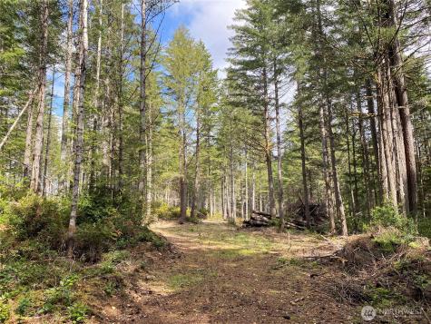 0 E Mason Lake Road Grapeview WA 98546