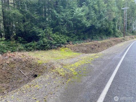 0 E Mason Lake Road Grapeview WA 98546