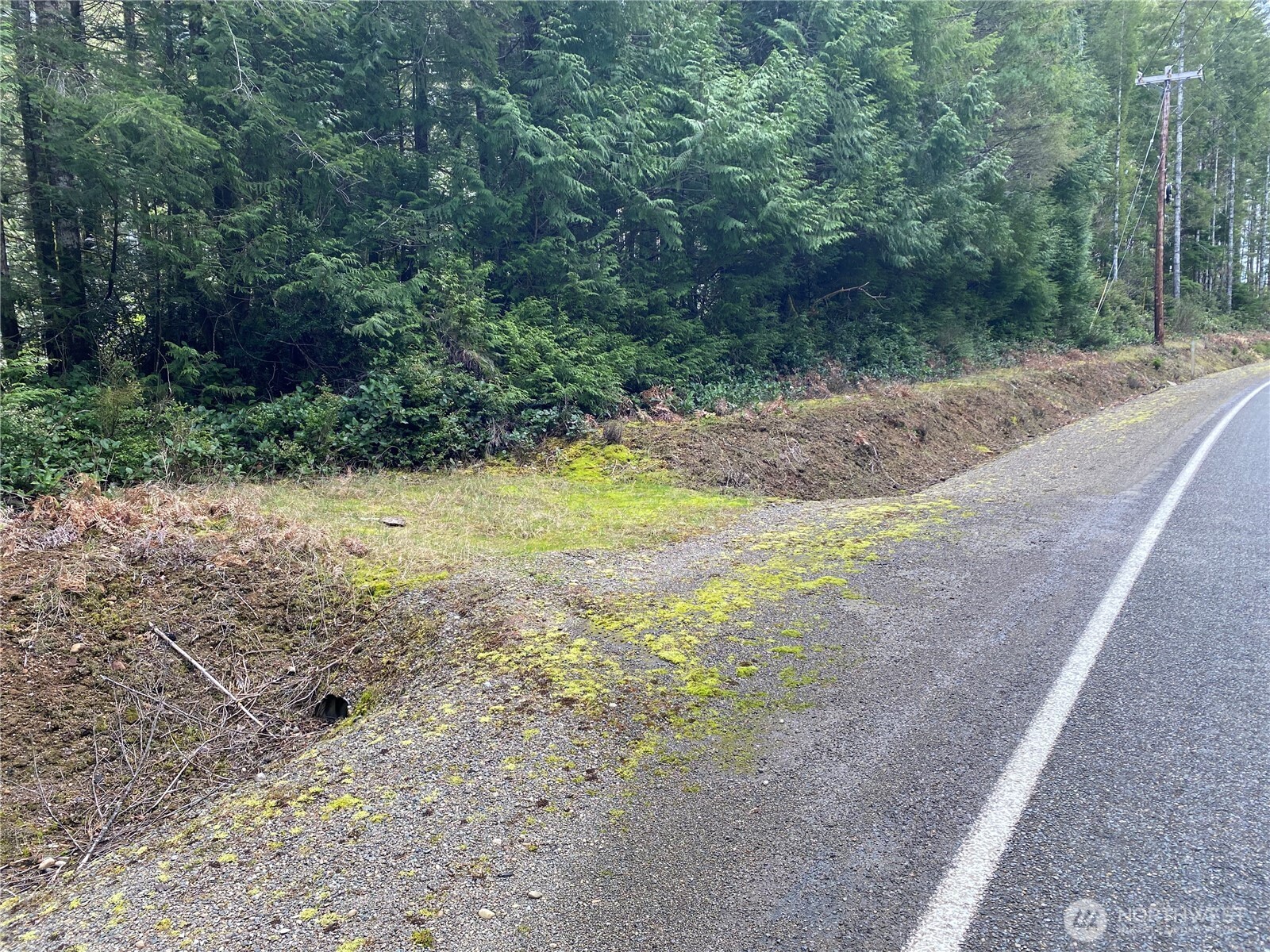 0 E Mason Lake Road Grapeview WA 98546