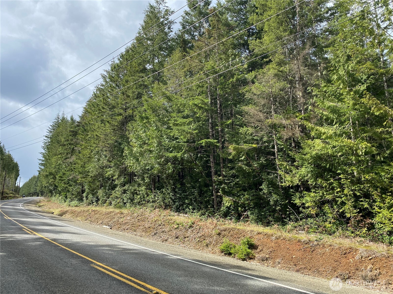 0 E Mason Lake Road Grapeview WA 98546